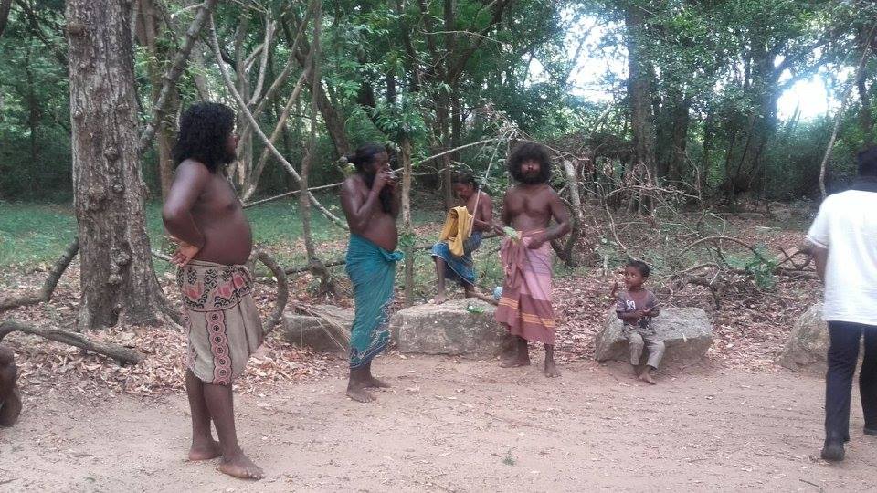 13529058 1310914788938416 4481970075281210662 N