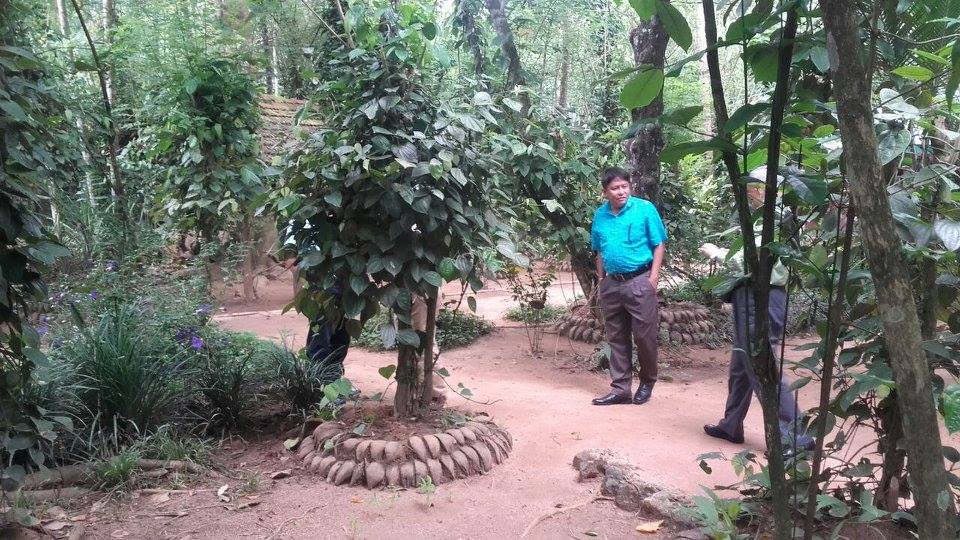 13529267 1310914628938432 7501326988236085416 N